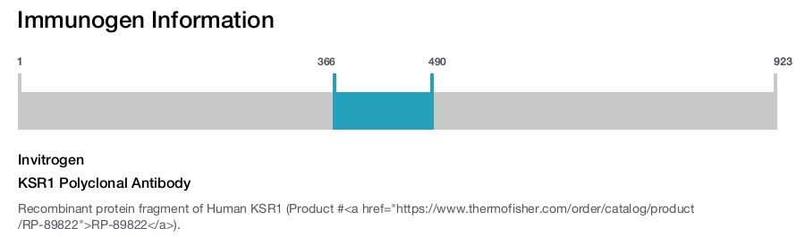 KSR1 Polyclonal Antibody