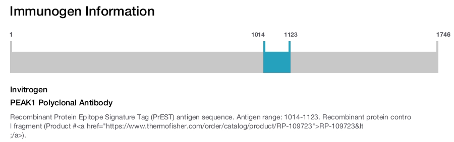 PEAK1 Polyclonal Antibody