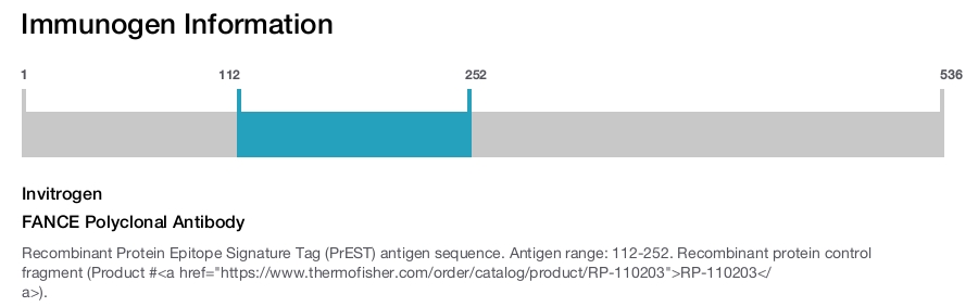 FANCE Polyclonal Antibody