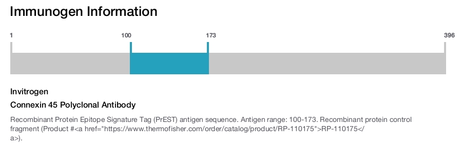 Connexin 45 Polyclonal Antibody