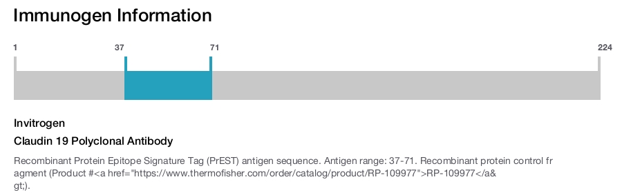 Claudin 19 Polyclonal Antibody