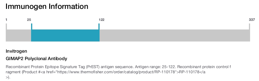 GIMAP2 Polyclonal Antibody