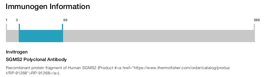 SGMS2 Polyclonal Antibody