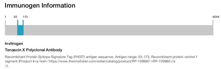 Tenascin X Polyclonal Antibody