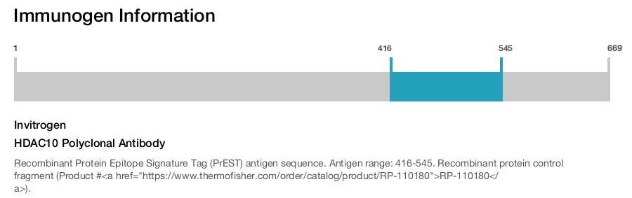 HDAC10 Polyclonal Antibody