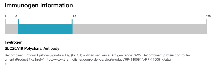 SLC25A19 Polyclonal Antibody