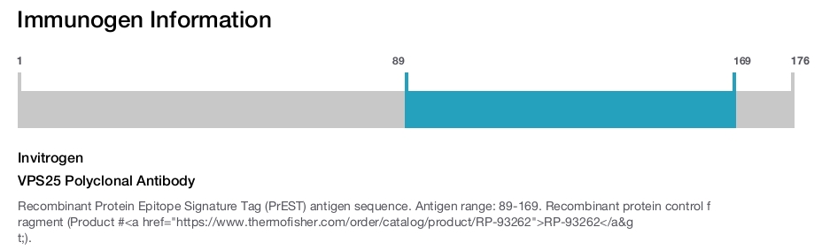 VPS25 Polyclonal Antibody