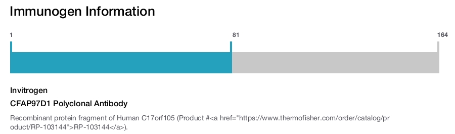 CFAP97D1 Polyclonal Antibody