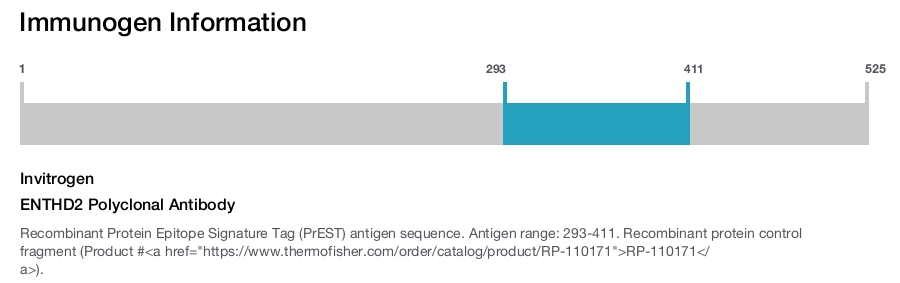 ENTHD2 Polyclonal Antibody