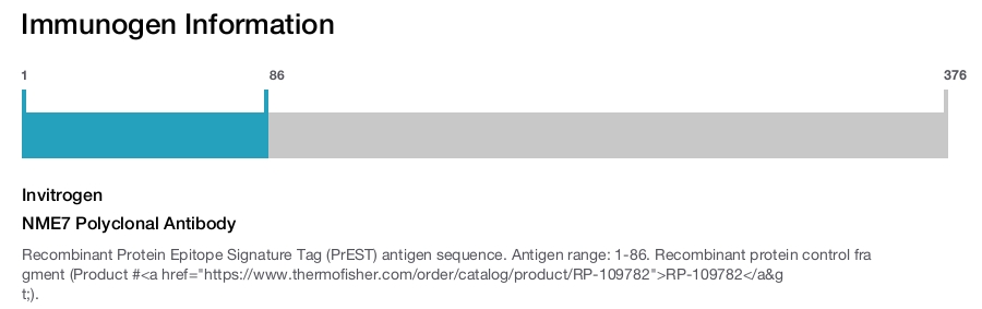 NME7 Polyclonal Antibody