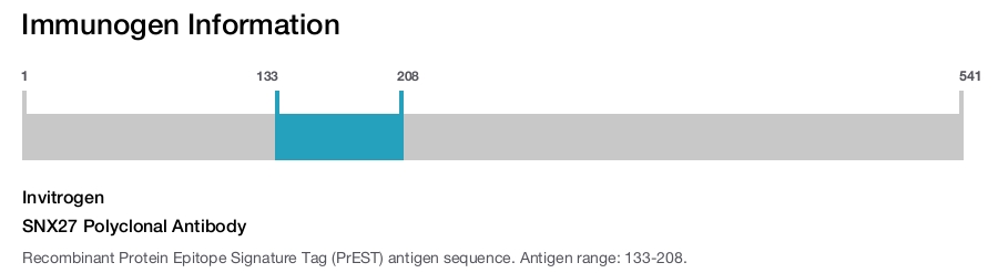 SNX27 Polyclonal Antibody