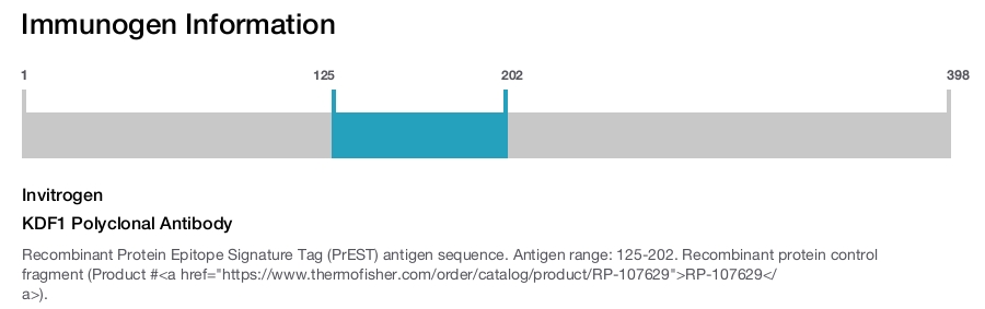 KDF1 Polyclonal Antibody