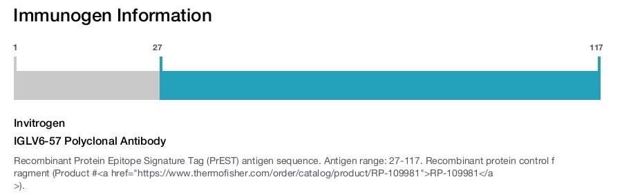 IGLV6-57 Polyclonal Antibody