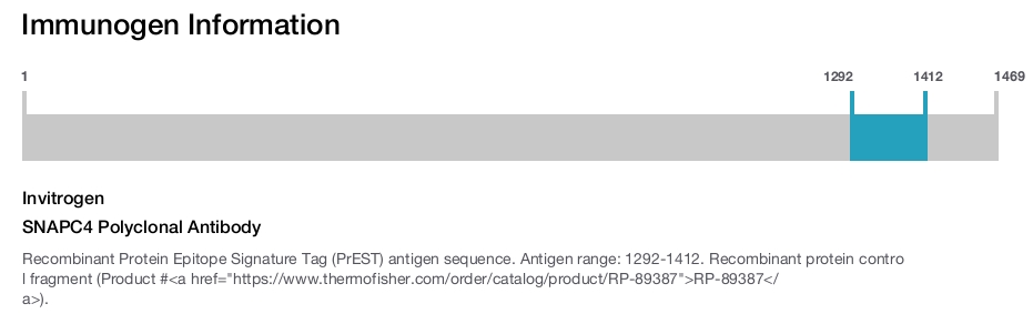 SNAPC4 Polyclonal Antibody
