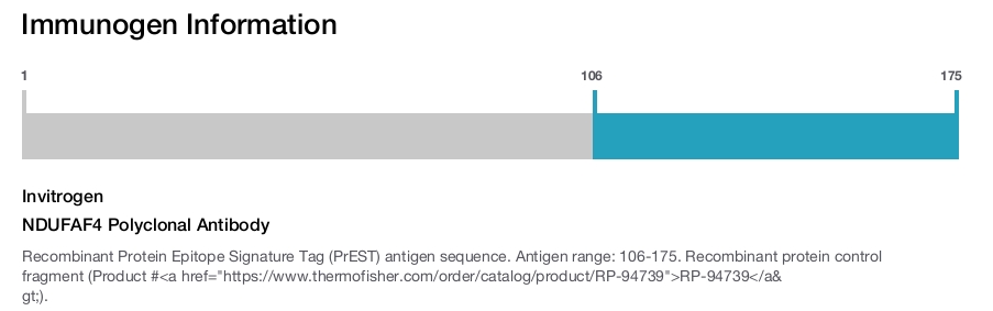 NDUFAF4 Polyclonal Antibody