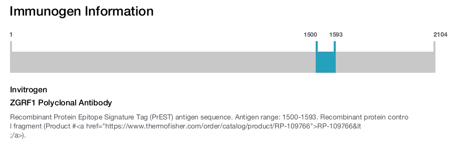 ZGRF1 Polyclonal Antibody