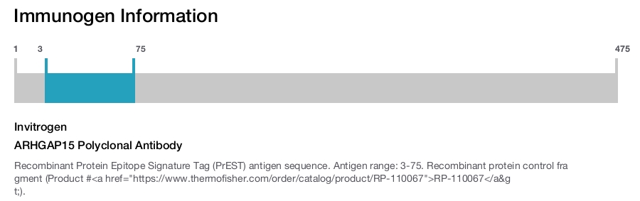 ARHGAP15 Polyclonal Antibody
