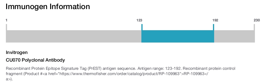 CU070 Polyclonal Antibody
