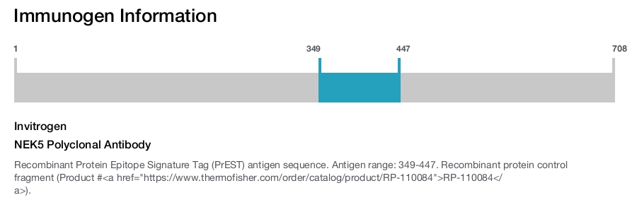 NEK5 Polyclonal Antibody
