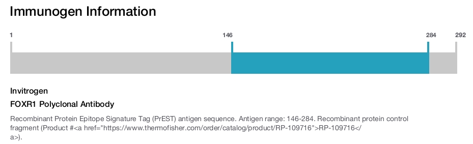 FOXR1 Polyclonal Antibody