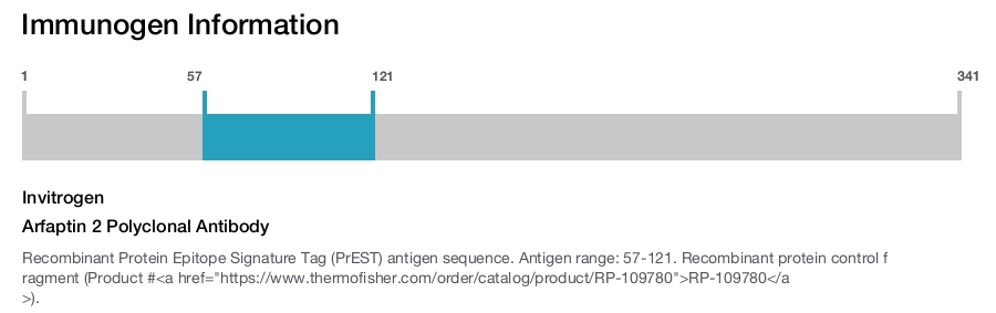 Arfaptin 2 Polyclonal Antibody