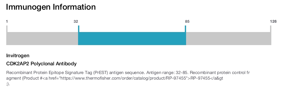 CDK2AP2 Polyclonal Antibody