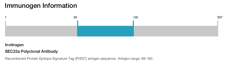 SEC22a Polyclonal Antibody