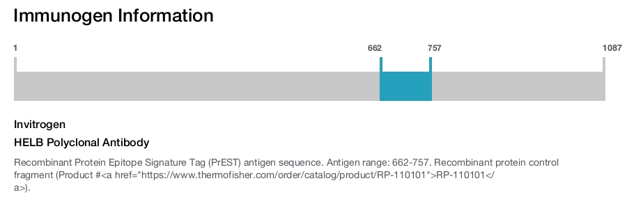 HELB Polyclonal Antibody
