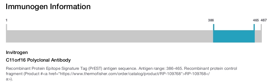 C11orf16 Polyclonal Antibody