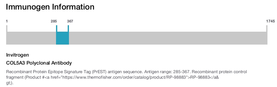 COL5A3 Polyclonal Antibody