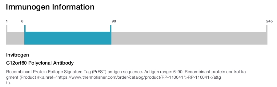 C12orf60 Polyclonal Antibody