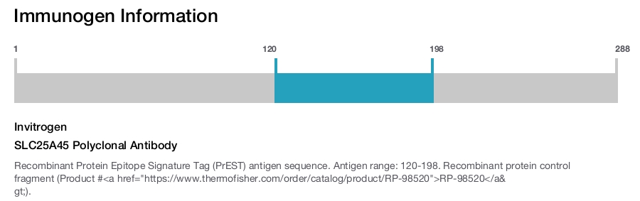 SLC25A45 Polyclonal Antibody