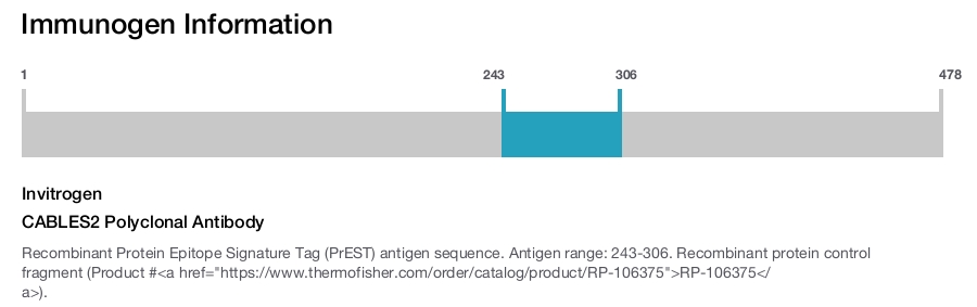 CABLES2 Polyclonal Antibody
