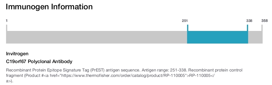 C19orf67 Polyclonal Antibody
