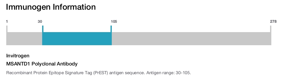 MSANTD1 Polyclonal Antibody