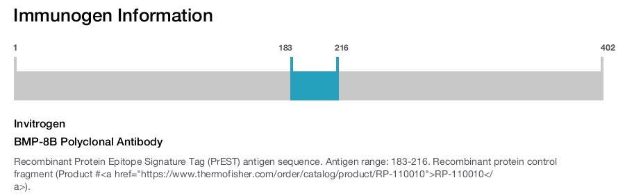 BMP-8B Polyclonal Antibody