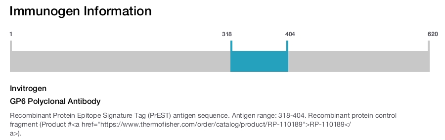 GP6 Polyclonal Antibody