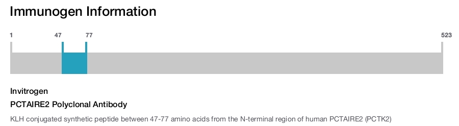 PCTAIRE2 Polyclonal Antibody