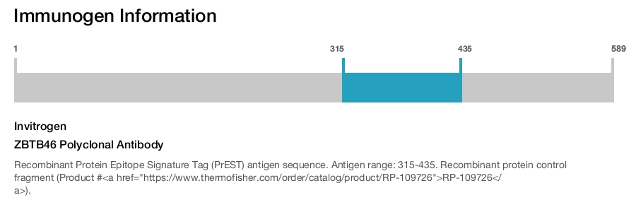 ZBTB46 Polyclonal Antibody