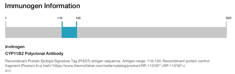 CYP11B2 Polyclonal Antibody
