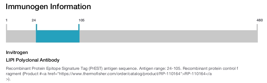LIPI Polyclonal Antibody