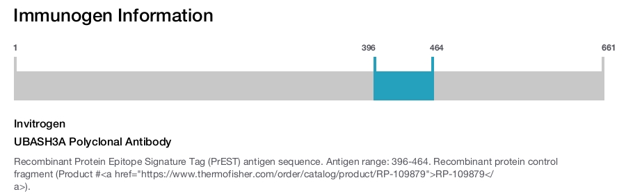 UBASH3A Polyclonal Antibody