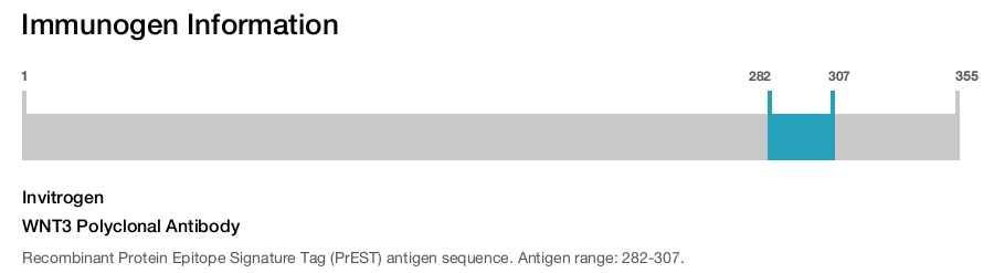 WNT3 Polyclonal Antibody