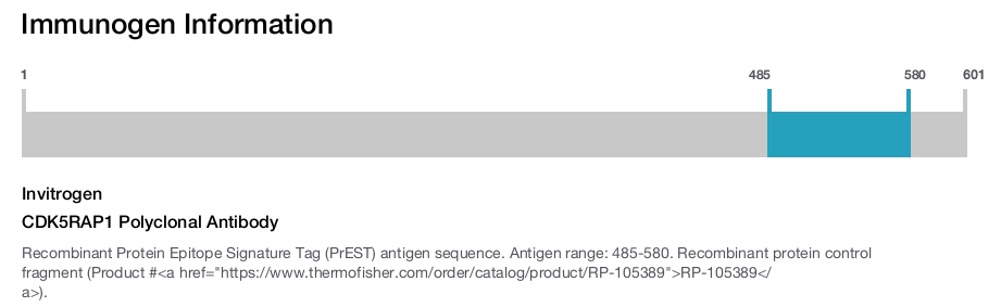 CDK5RAP1 Polyclonal Antibody