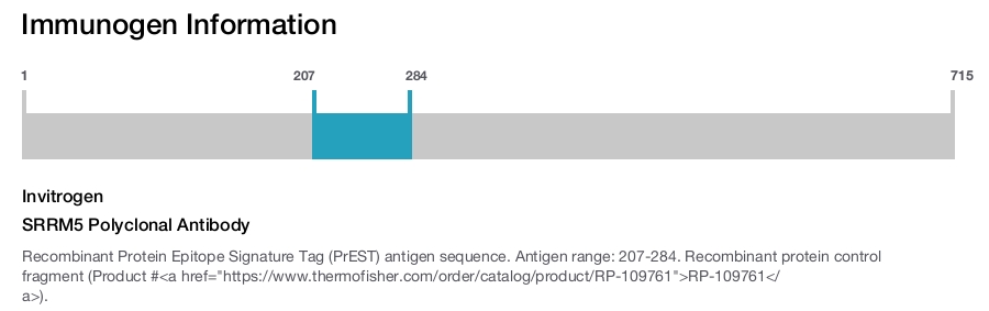 SRRM5 Polyclonal Antibody