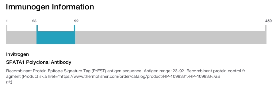 SPATA1 Polyclonal Antibody