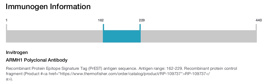 ARMH1 Polyclonal Antibody