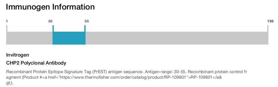 CHP2 Polyclonal Antibody