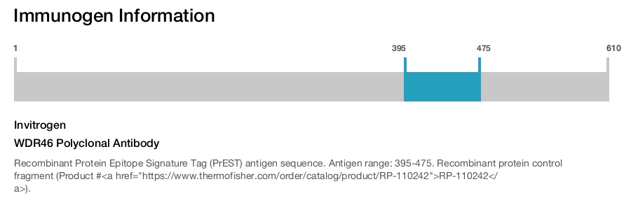 WDR46 Polyclonal Antibody