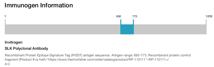 SLK Polyclonal Antibody